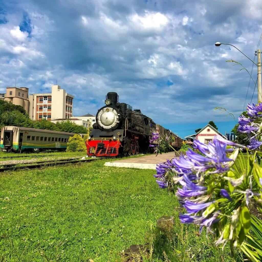 lua de mel na Serra Gaucha