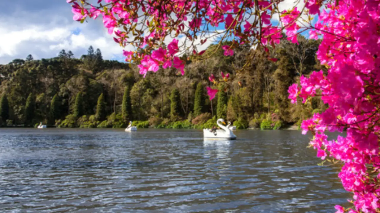 lua de mel na Serra Gaucha