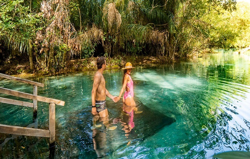 lua de mel no Pantanal