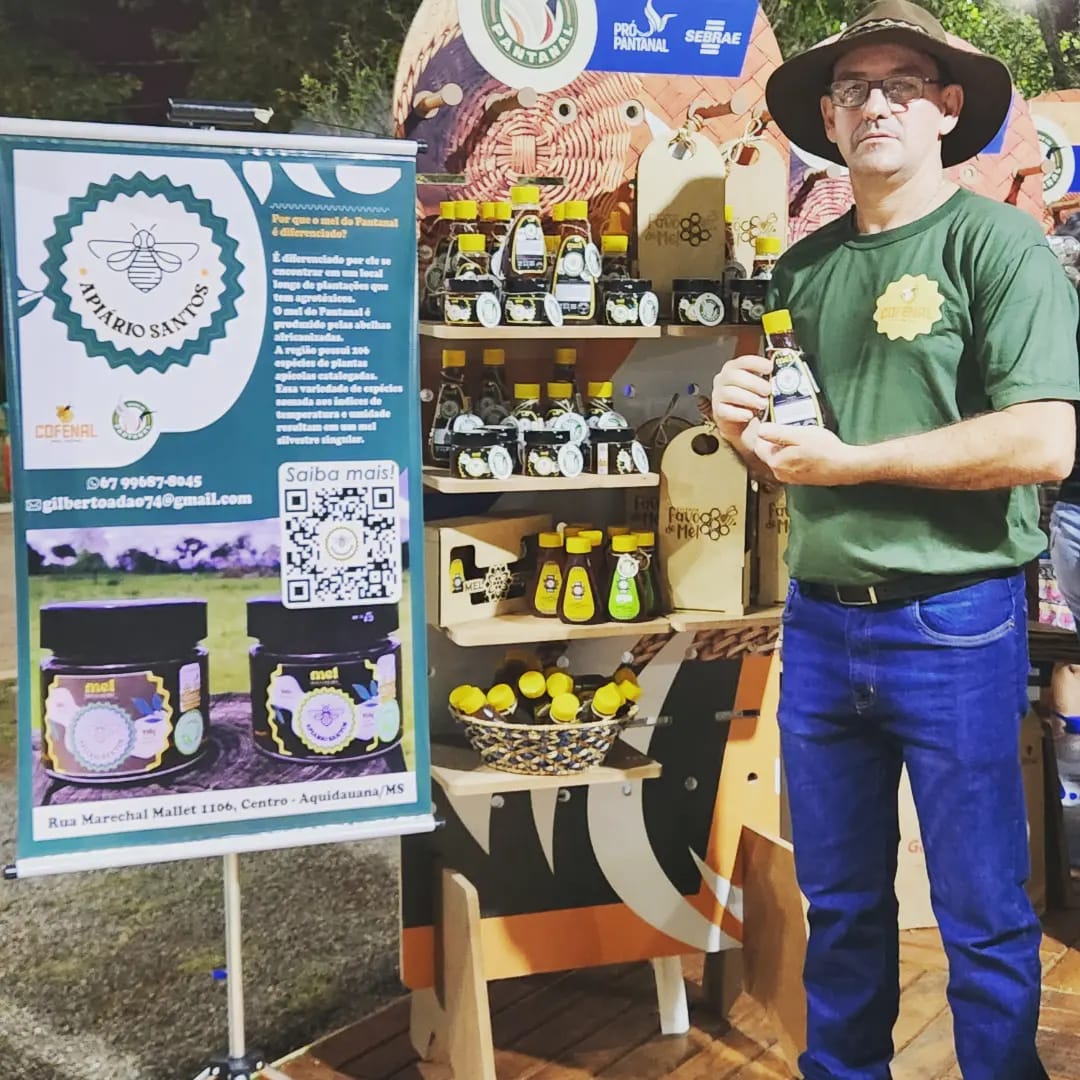 erros comuns planejar lua de mel pantanal