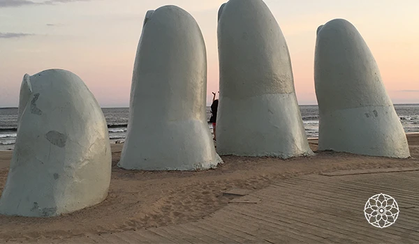 vinícolas em Maldonado