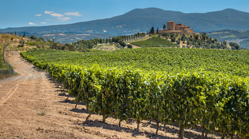 lua de mel em Nova York vs. lua de mel em Miami: qual escolher?