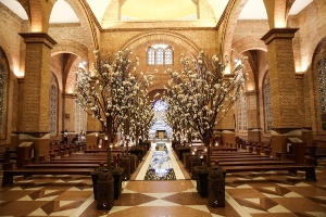 recepção de casamento Aparecida SP
