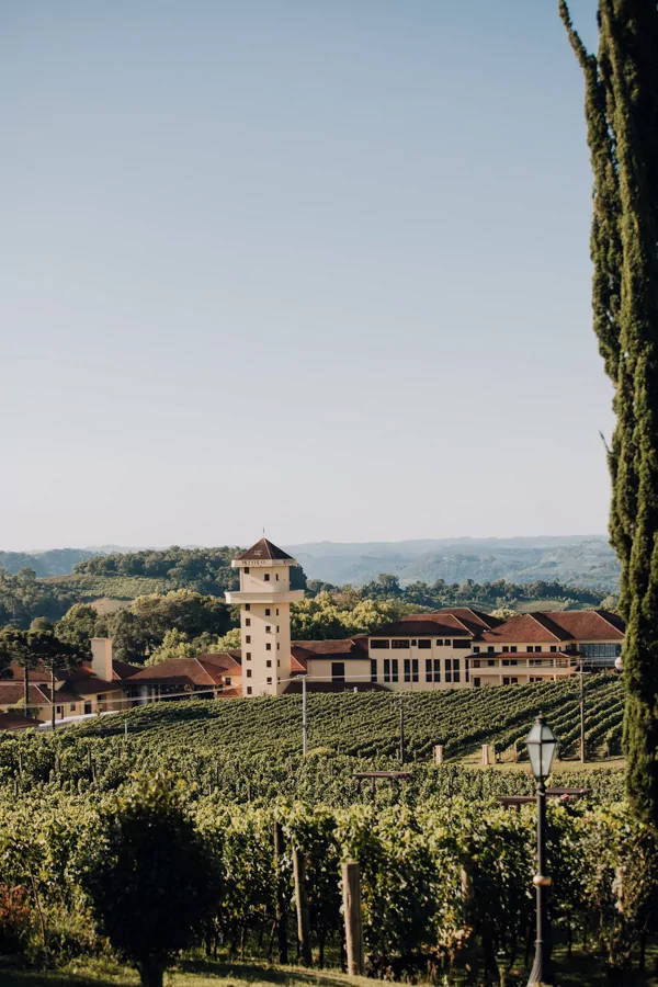 Quanto Custa Casar em Bento Gonçalves? Detalhes do Orçamento por Convidado