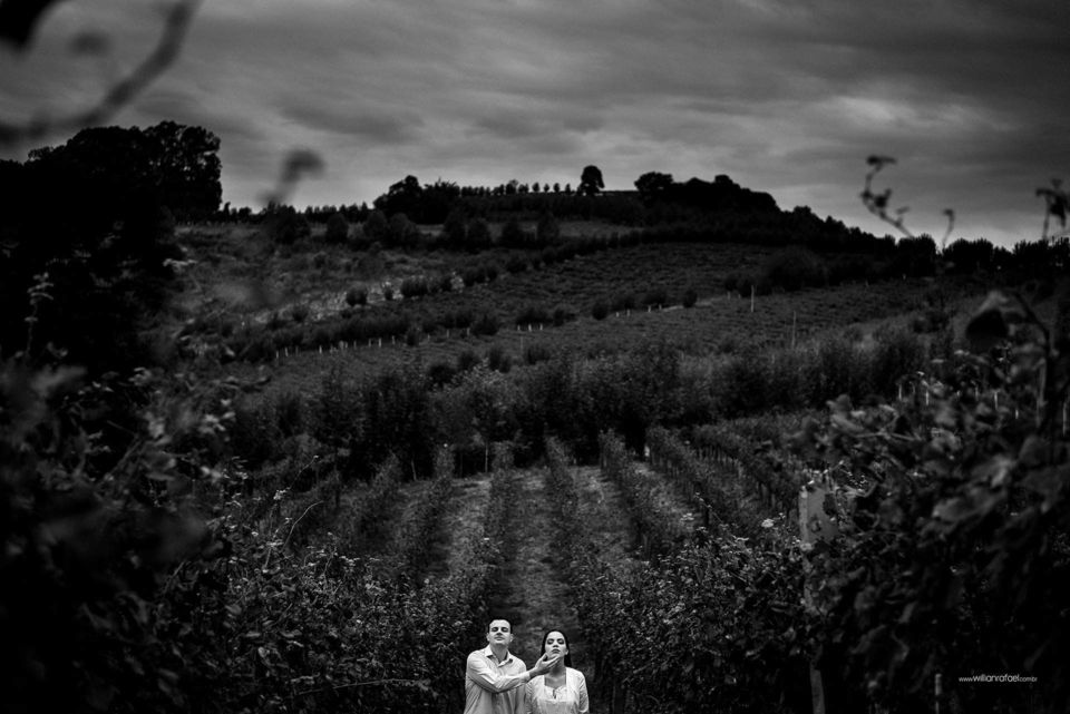 Gastronomia Italiana e Vinhos Premiados: Casamentos na Casa Valduga