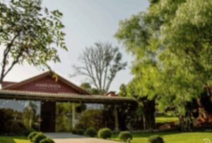 Guia Completo: Como Escolher a Vinícola Perfeita para Seu Casamento em Bento Gonçalves