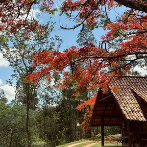 Salões de Festa em Itapira: Opções Urbanas com Infraestrutura Completa