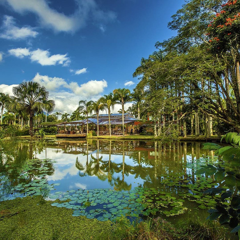 Economize no Casamento: Dicas para Encontrar Espaços com Bom Custo-Benefício em Resende e Penedo