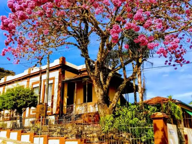 Como Escolher o Espaço Ideal para seu Casamento ao Ar Livre em Santa Branca