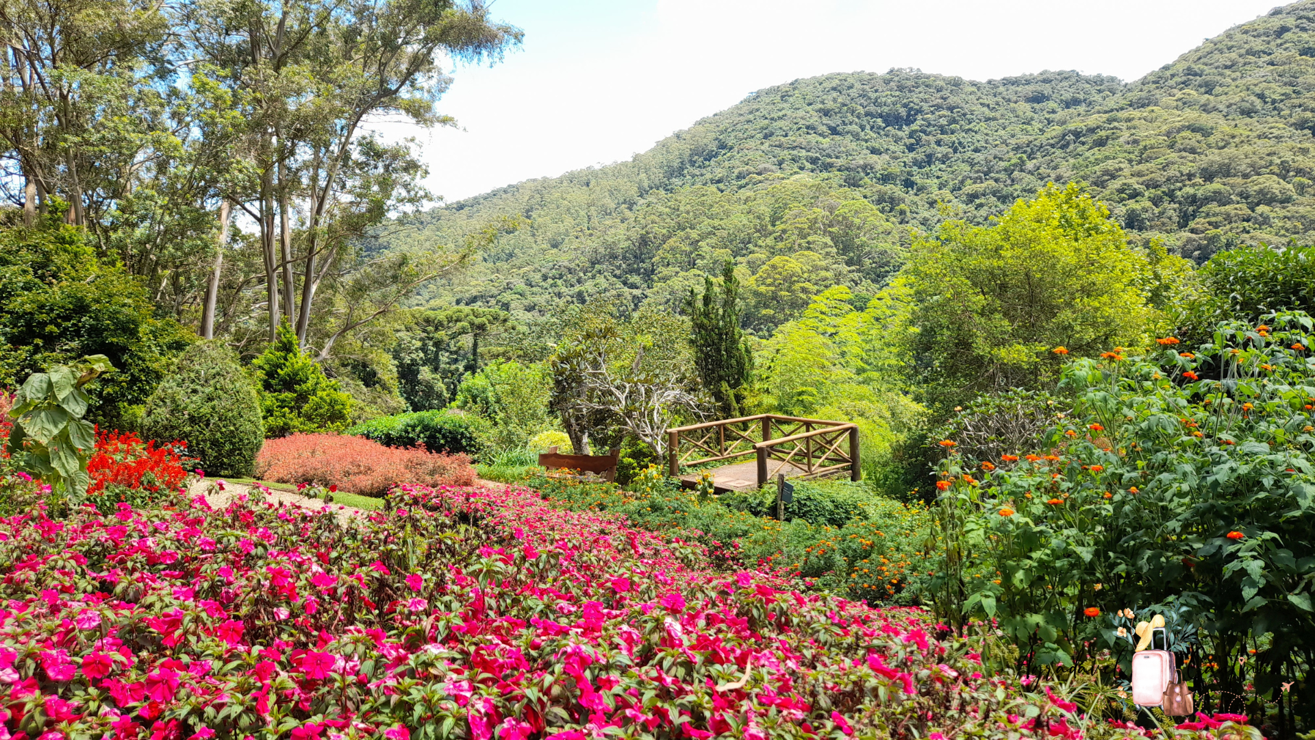 5 ideias de títulos:
1. Mini Wedding em Santo Antônio do Pinhal: Os Melhores Espaços Românticos
2. Guia Completo: Fazendas e Espaços ao Ar Livre para Casamentos na Mantiqueira
3. Pousadas Charmosas para Mini Weddings em Santo Antônio do Pinhal
4. Alta Gastronomia para Casamentos: Restaurantes Imperdíveis em Santo Antônio do Pinhal
5. Planejando seu Casamento Rústico em Santo Antônio do Pinhal: Dicas e Locais