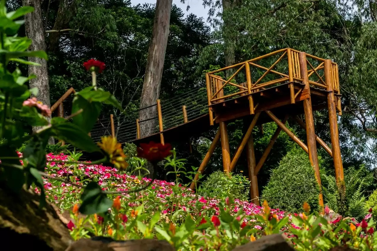 5 ideias de títulos:
1. Mini Wedding em Santo Antônio do Pinhal: Os Melhores Espaços Românticos
2. Guia Completo: Fazendas e Espaços ao Ar Livre para Casamentos na Mantiqueira
3. Pousadas Charmosas para Mini Weddings em Santo Antônio do Pinhal
4. Alta Gastronomia para Casamentos: Restaurantes Imperdíveis em Santo Antônio do Pinhal
5. Planejando seu Casamento Rústico em Santo Antônio do Pinhal: Dicas e Locais