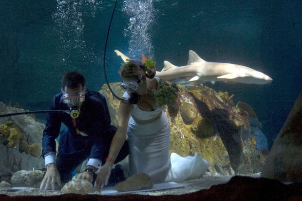 5 ideias de títulos:
1. Os 10 Melhores Espaços para Casamento em Tubarão (SC) em 2024
2. Casamento Rústico em Tubarão: Sítios e Chácaras Incríveis
3. Espaços com Hospedagem para Casamentos em Tubarão: Conforto para Todos
4. Mini Wedding em Tubarão: Espaços Íntimos e Charmosos
5. Guia Completo: Como Escolher o Espaço Ideal para seu Casamento em Tubarão