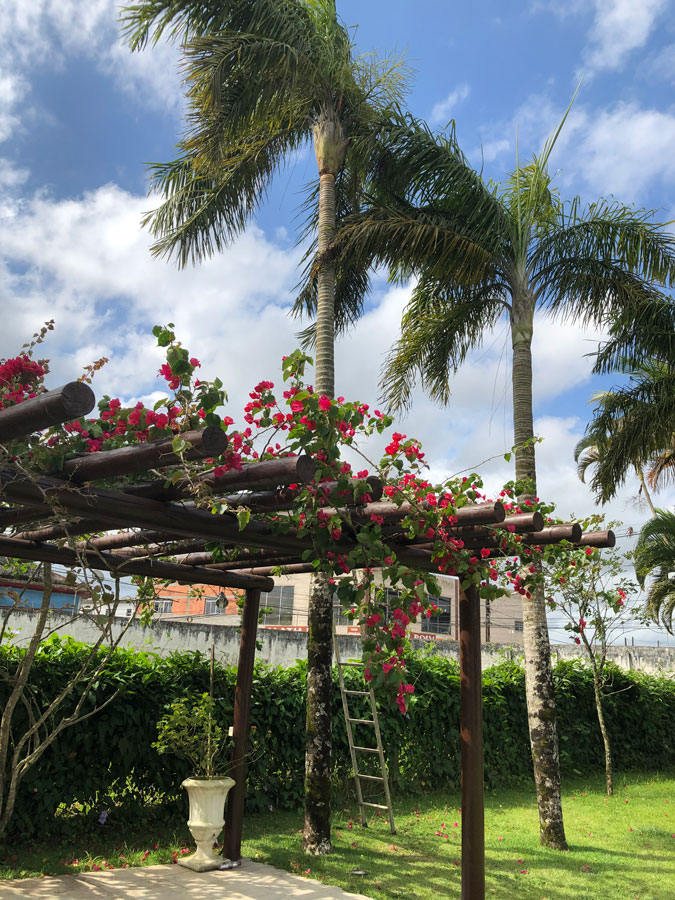 Música e Decoração