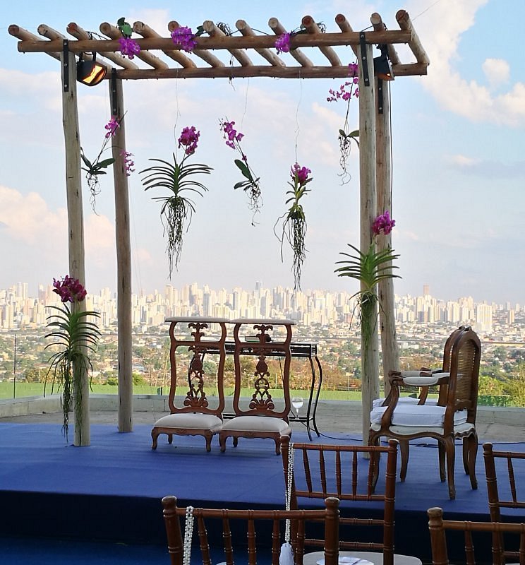 casamento intimista em quintal da árvore Goiânia