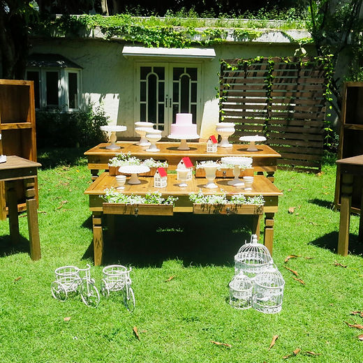 Paleta de Cores para Decoração Rústica: Combinando com a Natureza