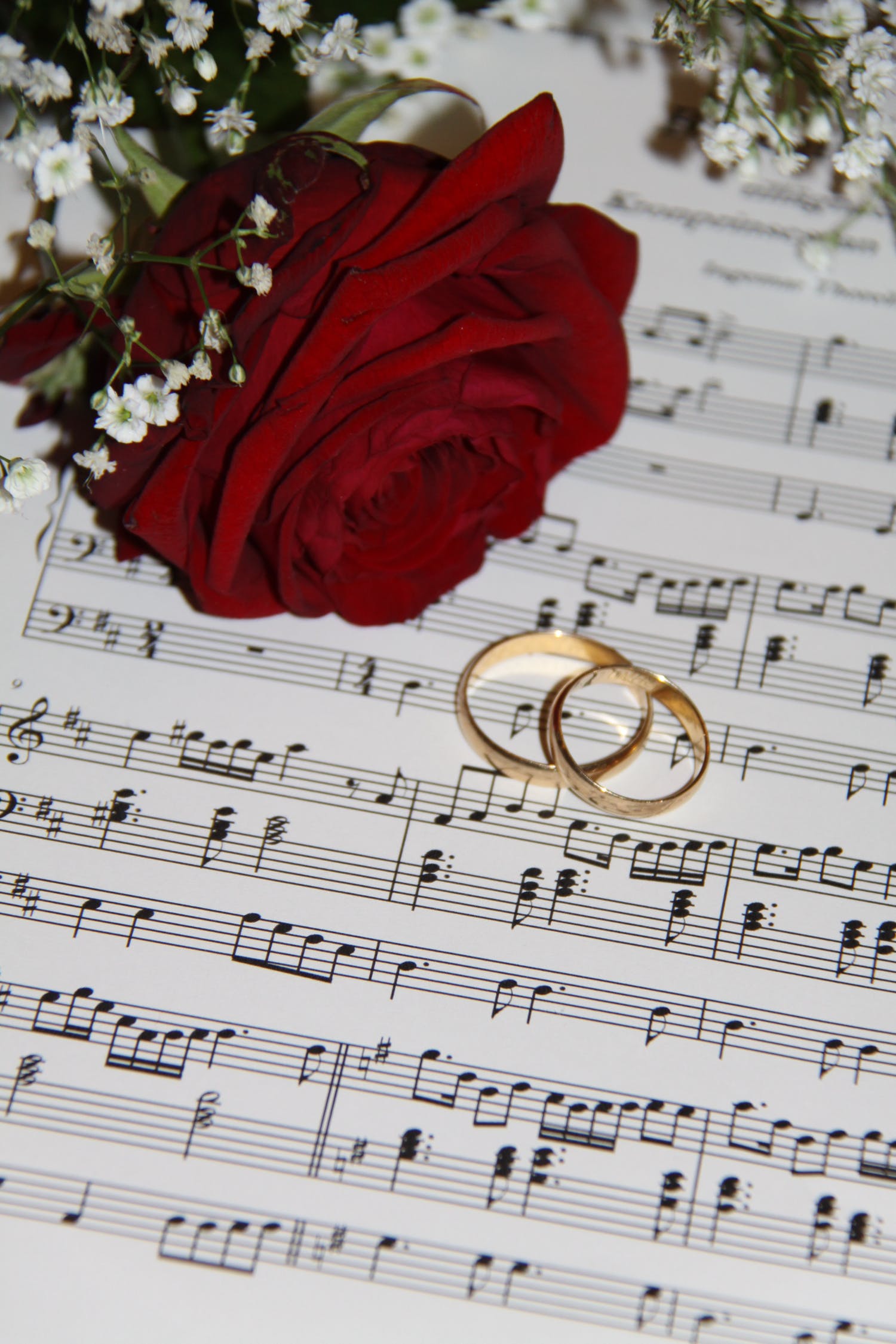Guia Completo: Escolhendo a Formação Musical Ideal para o Seu Casamento (Orquestra