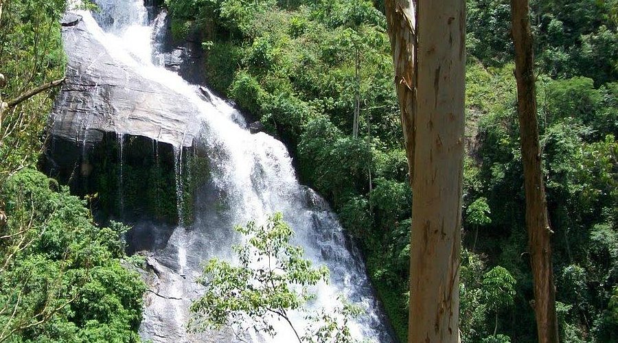 As Melhores Lojas e Ateliês para Encontrar Seu Vestido de Noiva no Brasil