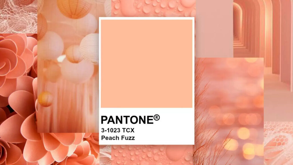 Guia Completo: Como Usar Cloud Dancer na Decoração do Seu Casamento 2026