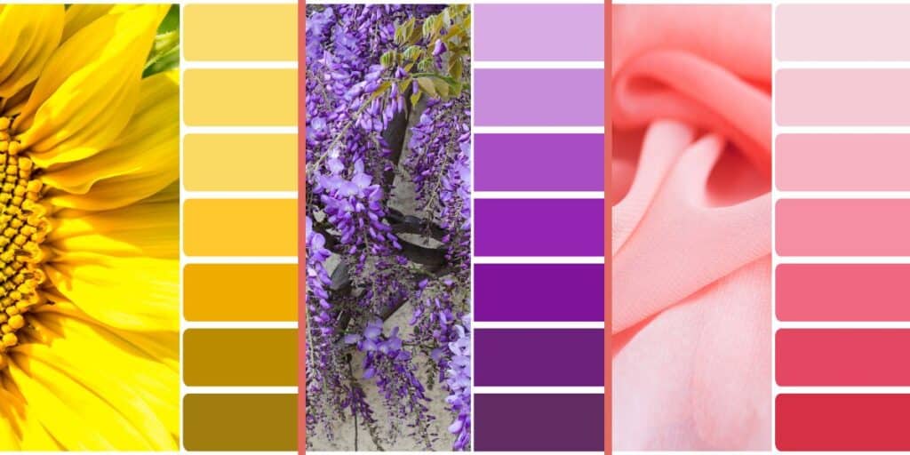 Dicas de Etiqueta: Escolhendo a Cor do Vestido das Madrinhas