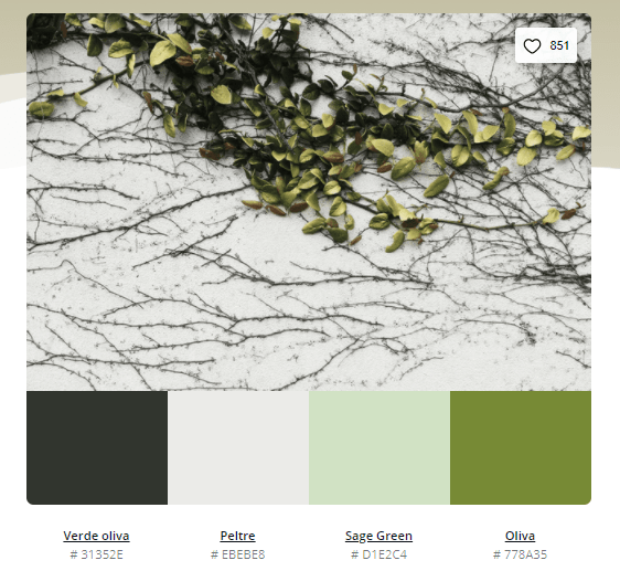 Verde Oliva na Moda: Tendências e Combinações para Todos os Estilos