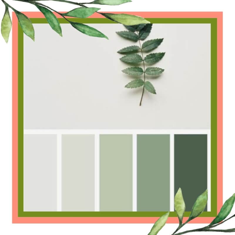 Além do Verde Oliva: Descubra Outros Tons de Verde para Seus Projetos