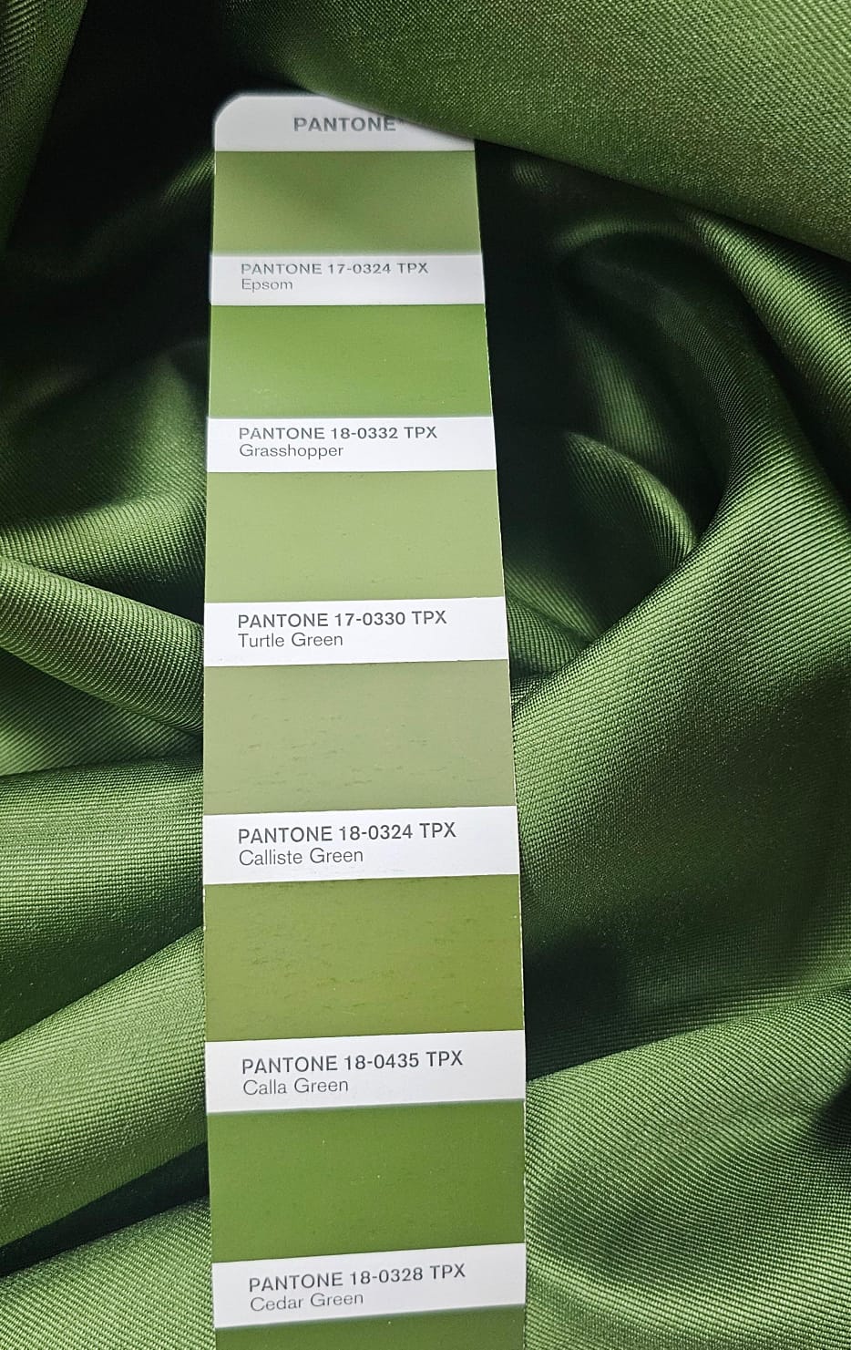 verde oliva e preto
