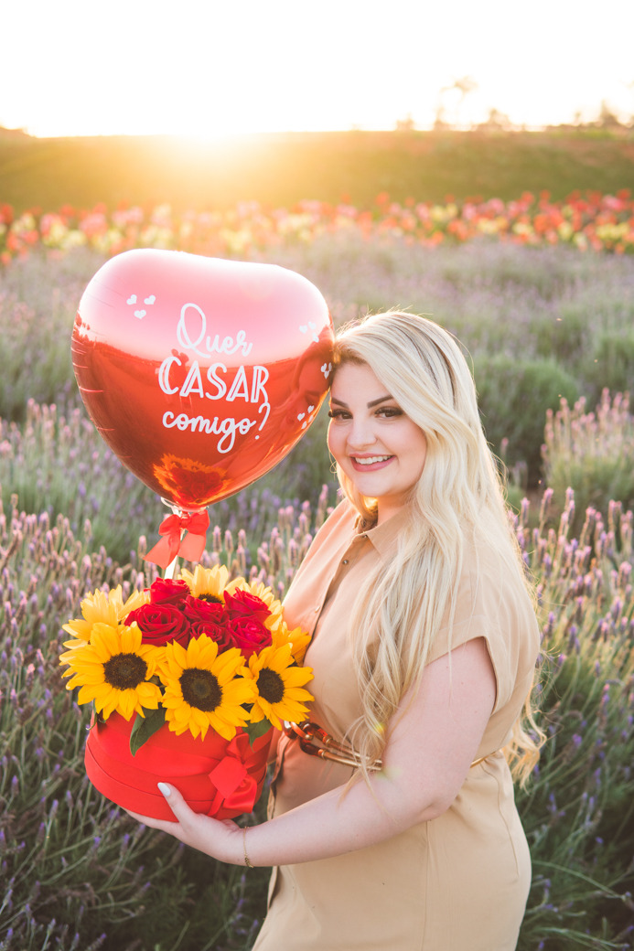 pedido de casamento em viagem
