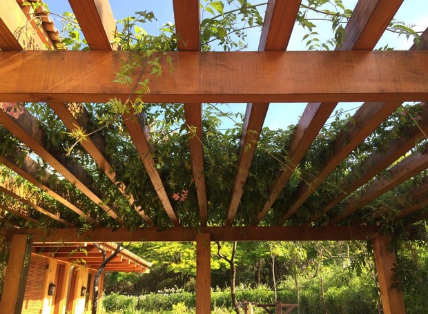 erros comuns ao escolher madeira para pergolado