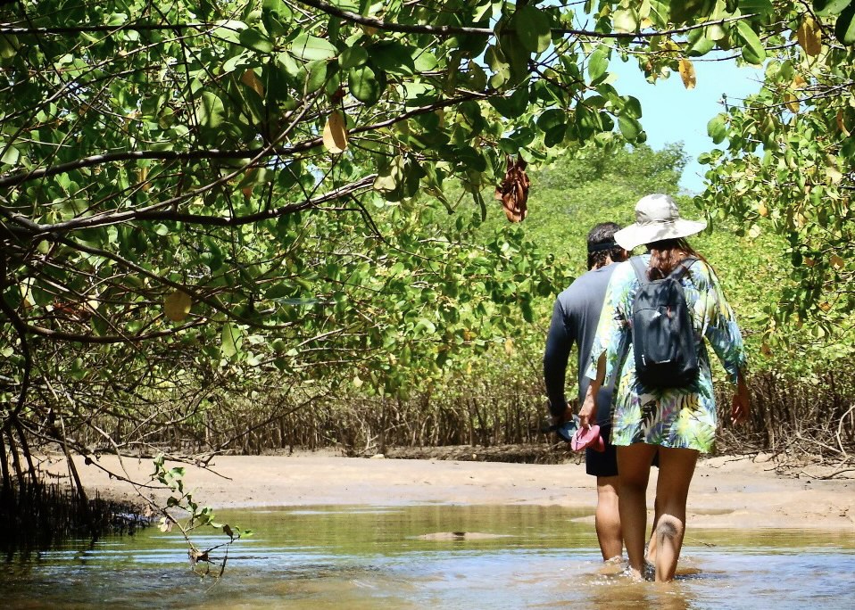 Roteiro de 3 Dias na Rota Ecológica dos Milagres: Aproveite ao Máximo