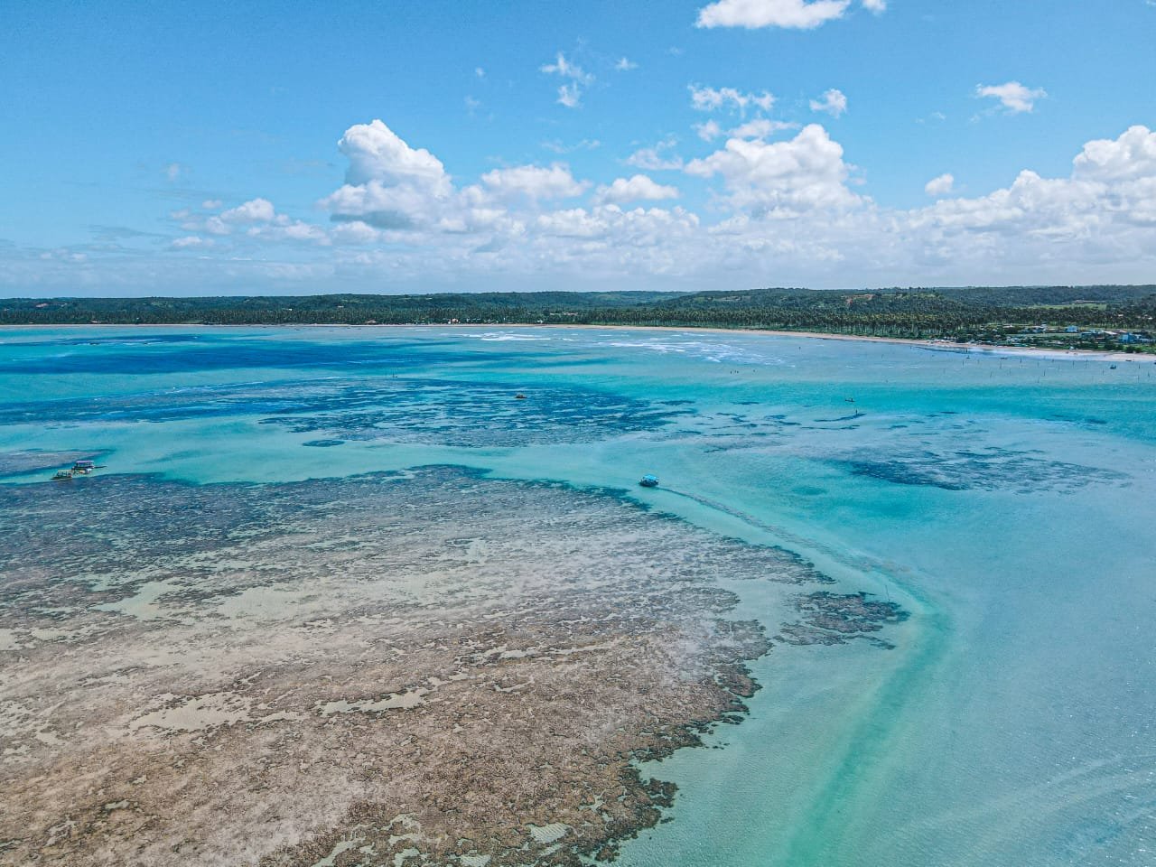 Rota Ecológica dos Milagres: O Guia Definitivo para sua Viagem dos Sonhos
