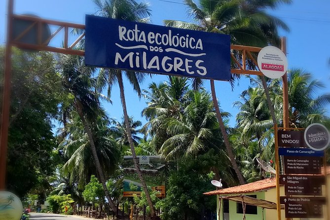 Rota Ecológica dos Milagres: O Guia Definitivo para sua Viagem dos Sonhos