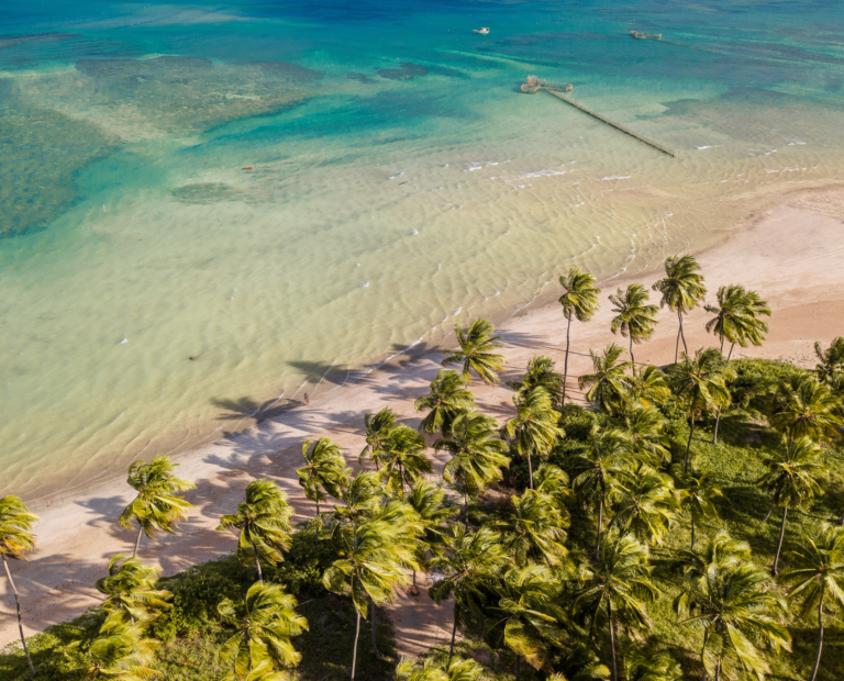 Rota Ecologica dos Milagres