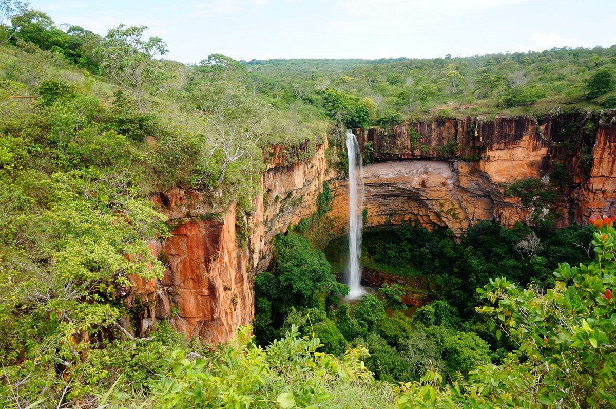 Capas de noiva: a alternativa moderna ao véu tradicional