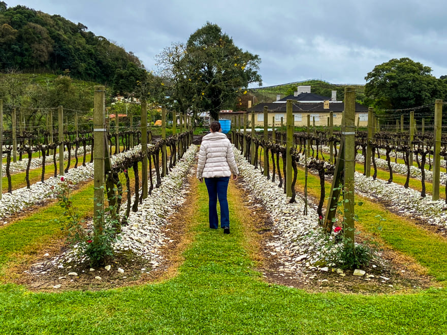 vinícolas para casar no vale dos vinhedos