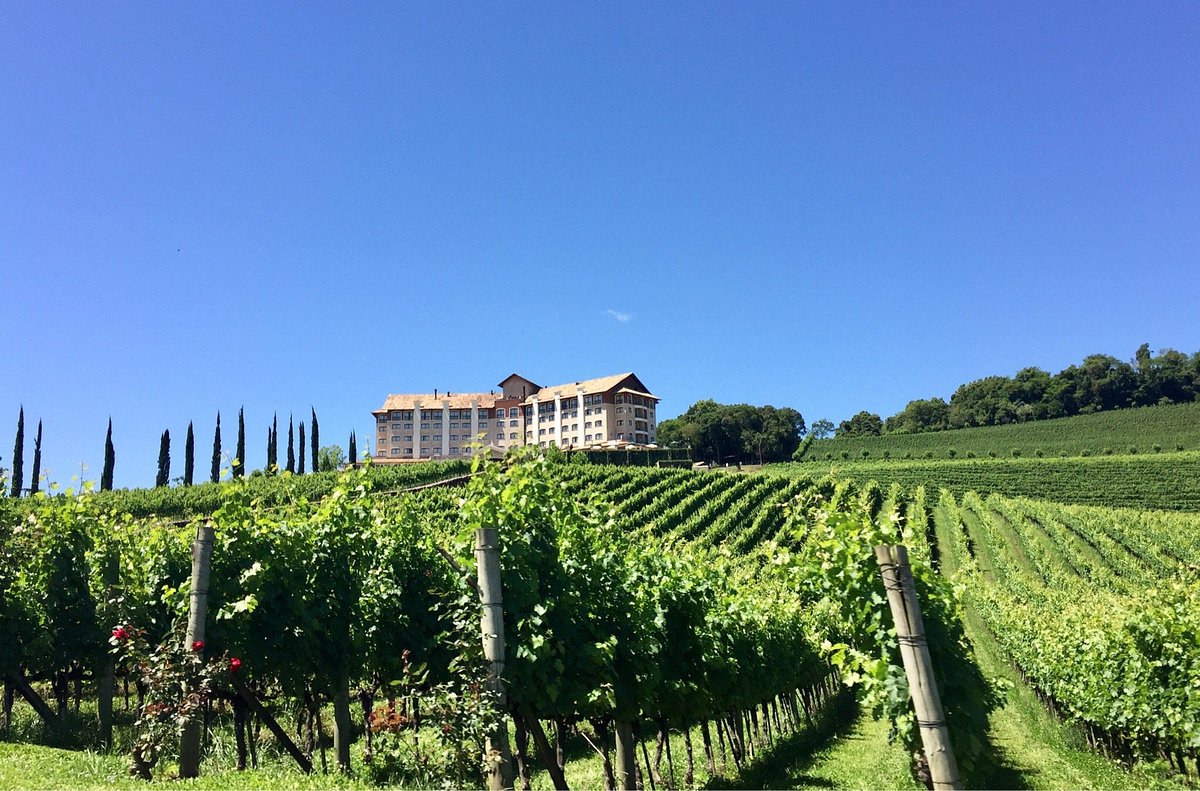 vinícolas para casar no vale dos vinhedos