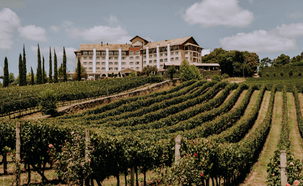 vinícolas para casar no vale dos vinhedos