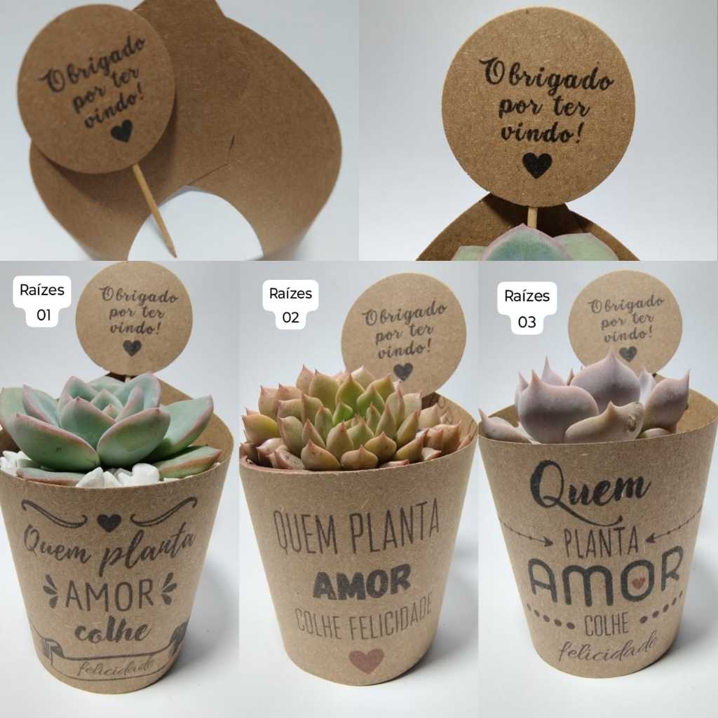 lembrancinha DIY cacto