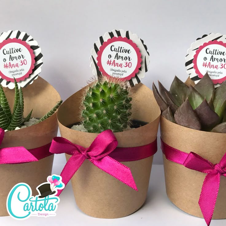 lembrancinha cacto papel
