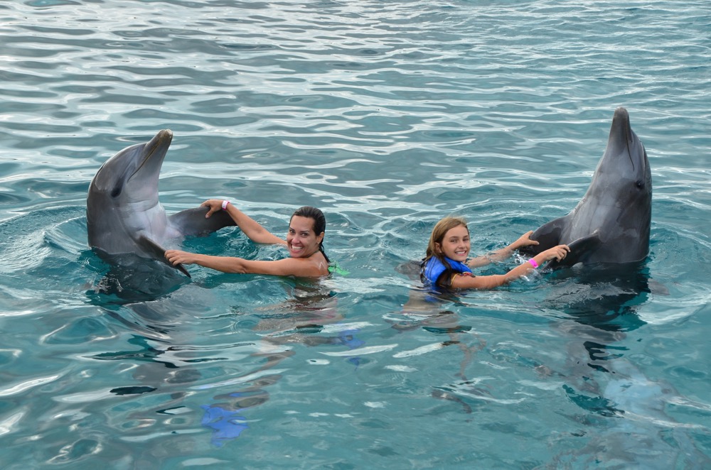 turismo sustentável golfinhos