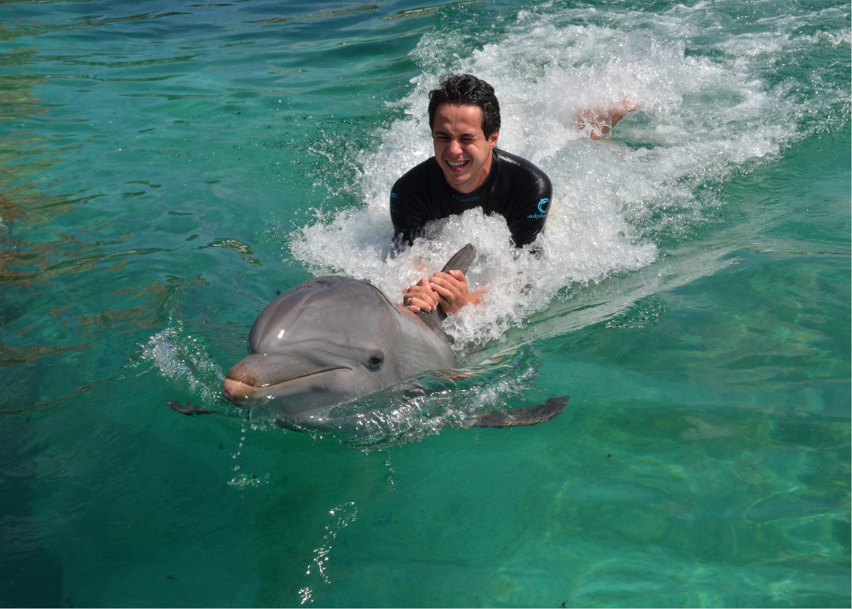 dolphin discovery isla mujeres